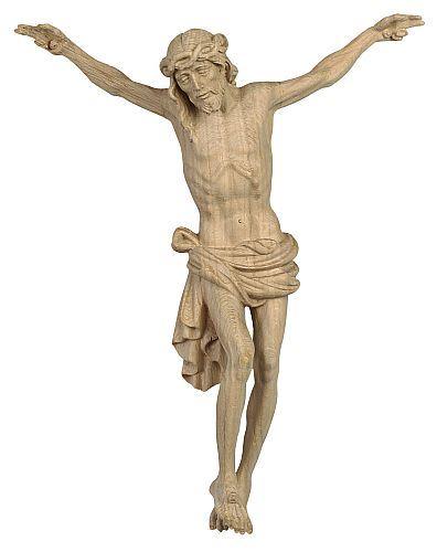 Dolomitenkorpus in Eiche